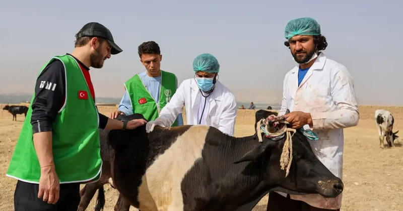 İHH yurt dışı kurban hisse bedelini açıkladı