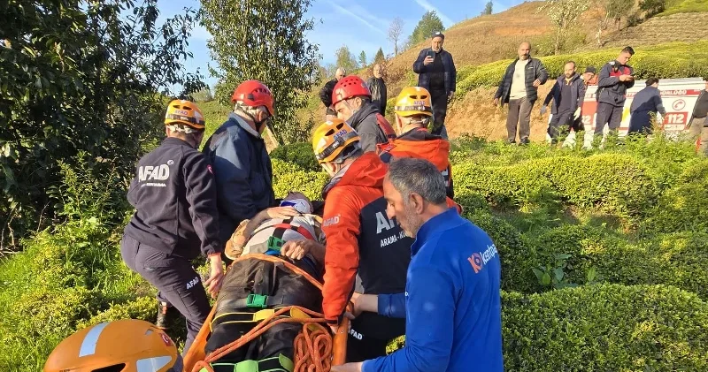 Rize de hafif ticari araç çay bahçesine devrildi: Sürücü yaralandı Gündem Haberleri
