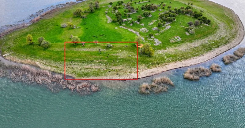 İsviçre değil Türkiye! Uyanık besici çoban masrafından böyle kurtuldu