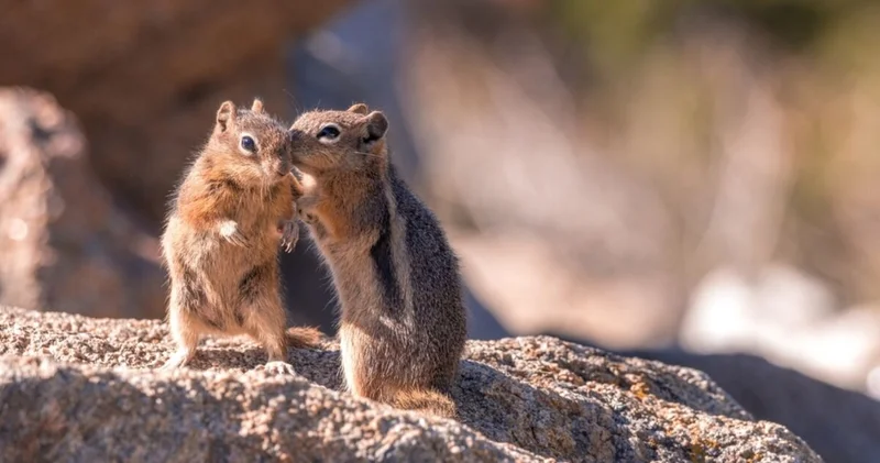 Dedikodu o kadar da kötü bir şey değil!
