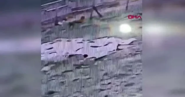 5 yaşındaki Hamza nın köpek saldırısına uğradığı anlar kamerada