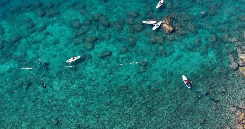 Dalgıç ekibi denizden çıkar çıkar bitiremedi