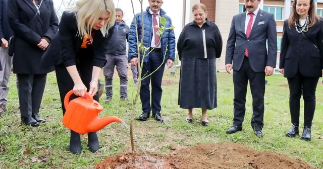 Akdeniz Üniversitesi nde son 2 yılda 5 bin fidan dikildi Antalya Haberleri