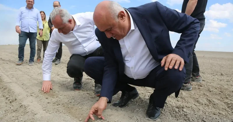 Erkoyuncu, pancar ekimine katıldı