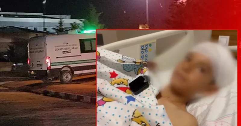 Van da sokak köpeği dehşeti: Küçük Hamza hayatını kaybetmişti! Canını zor kurtaran Ayaz o anları anlattı…