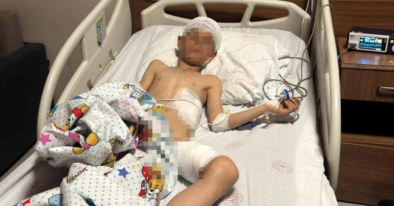 Van daki köpek dehşetinde kan donduran detaylar