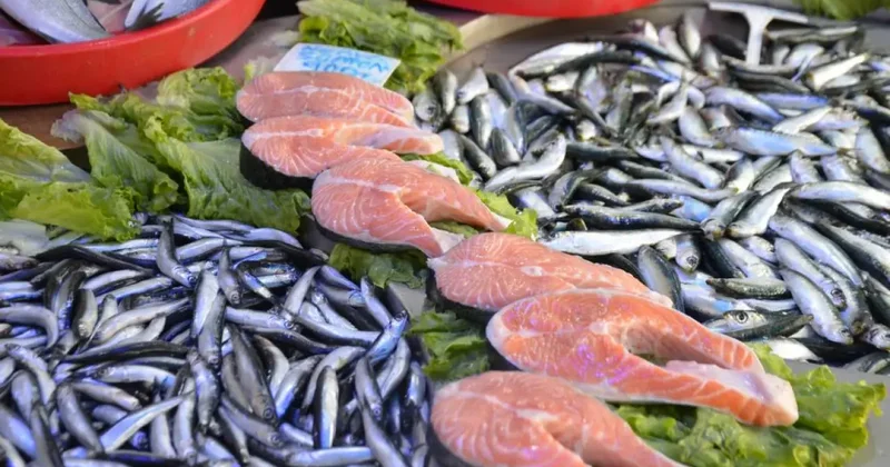 Av sezonu bitse de tezgahlardan balık eksik olmuyor!