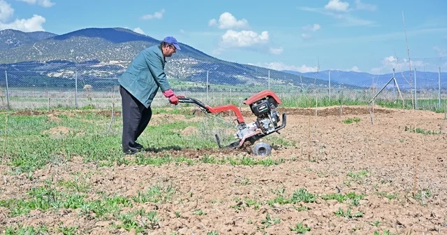 Büyükşehir ipek böceği yetiştiriciliğini yaygınlaştırıyor Antalya Haberleri