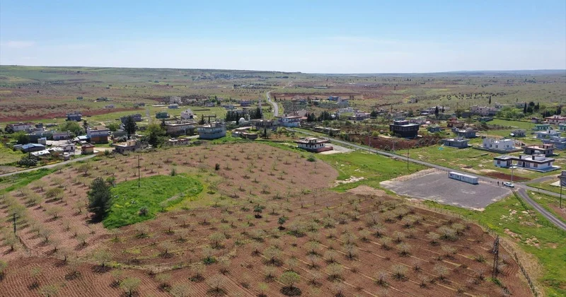 Japonların ve Çinlilerin gözü bu ilçede! Yıllarca devam edecek kazı başlıyor