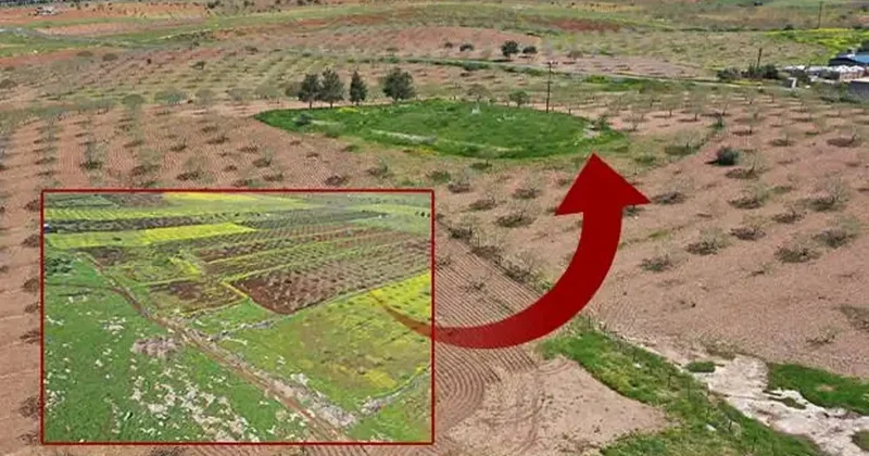 Dünyanın gözü bu bölgede! İlk kazma vuruldu: İnsanlık tarihini değiştirecek çalışma