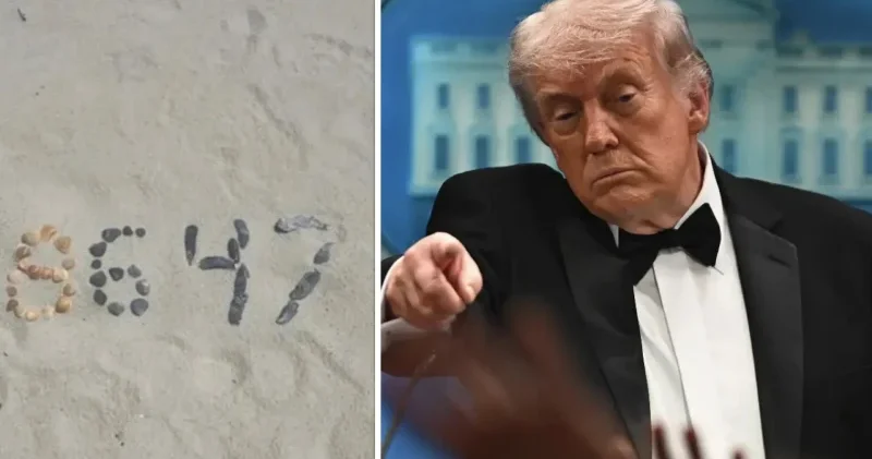 ABD Başkanı Trump tan eski FBI Direktörü Comey nin deniz kabuklu paylaşımına tepki Dünya Haberleri