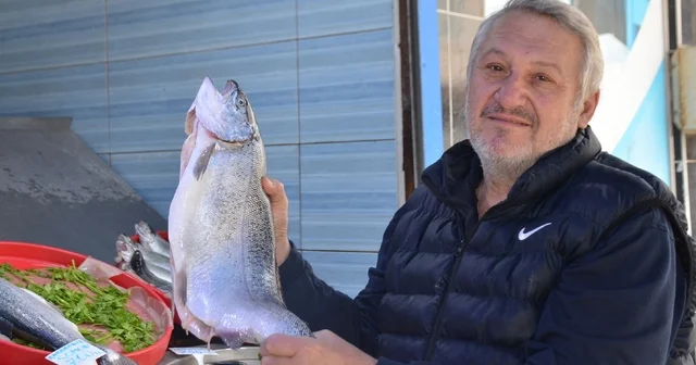 Av sezonu bitse de tezgahlar balıksız kalmıyor Küçük tekneler ile avlanan balıklar hala daha tezgahlarda alıcısını bekliyor Bilecikli balıkçı Hüseyin Acar; Bu sezon Bilecik halkı hamsiyi çok sevdi, yüzde 90 hamsi tercih edildi Bilecik Haberleri
