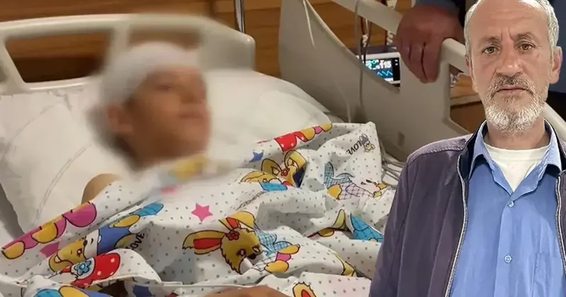 Yer: Van! Küçük Hamza köpeklerin saldırısında can verdi: Çözüm bulunmasını istiyoruz