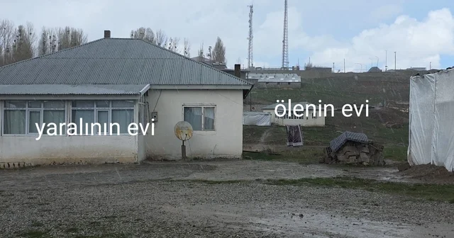 Köpek dehşetinin görüntüleri ortaya çıktı Van Haberleri