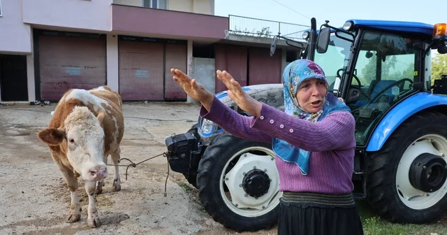 Kozan daki selde hayvanları telef olan kadın: Bir anda sel geldi, ahırın üstünü aştı Adana Haberleri