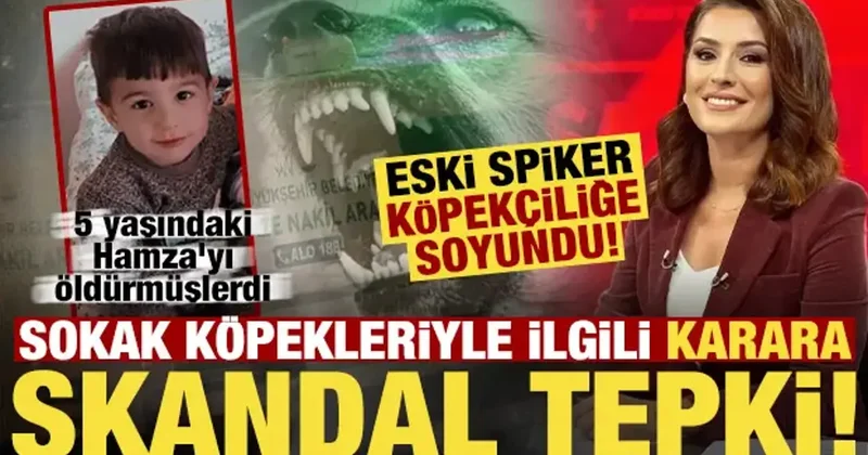 Köpekler 5 yaşındaki Hamza yı öldürdü, eski spiker köpekçiliğe soyundu!