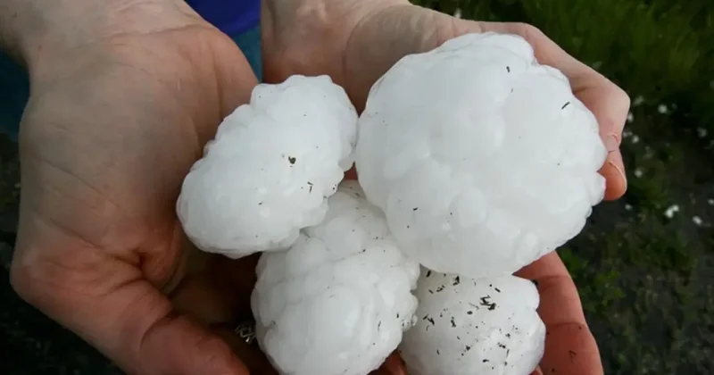 Tenis topu kadar dolu yağdı! Araçlar hurdaya döndü