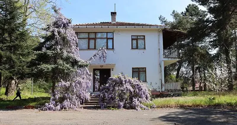 Filozof Teoman Duralı Müzesi projesi için inceleme yapıldı