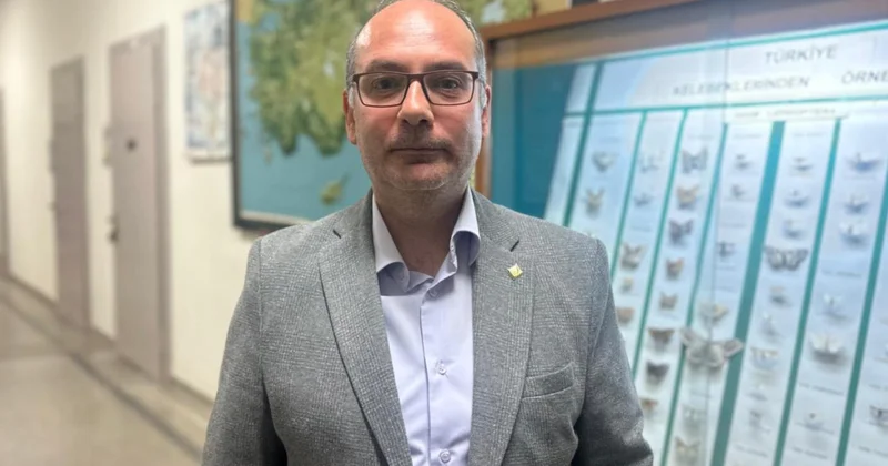 İstanbul daki çam kese tırtılları alerjik reaksiyonlara neden olabiliyor