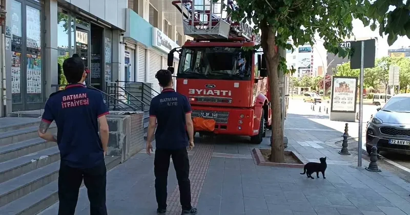 Batman’da vefakar kedi arkadaşını yalnız bırakmadı