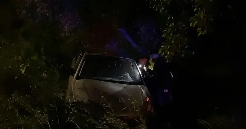 Bursa da otomobil zeytinliğe uçtu: 2 si çocuk 4 yaralı
