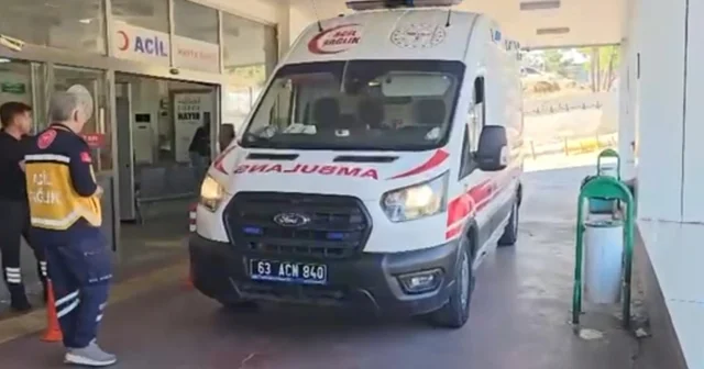 Bahçesinde gördüğü yılanı vurmak isterken av tüfeği ile 5 kişiyi yaraladı Şanlıurfa Haberleri