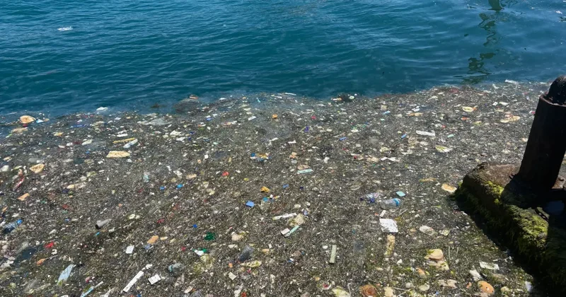 İstanbul Boğazı nda pes dedirten manzara: Sahile gelenler şoke oldu!