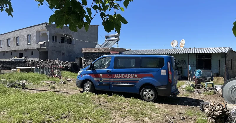 Yer: Şanlıurfa! Yılanı öldürmek isterken 5 kişiyi yaraladı