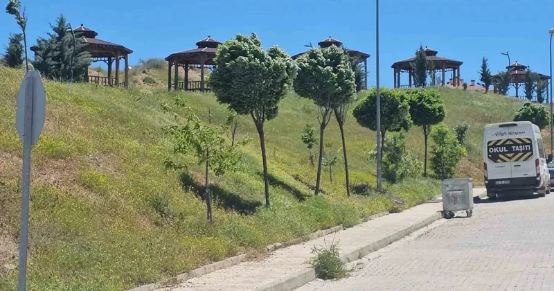 Elazığ’da şiddetli rüzgar etkili oldu