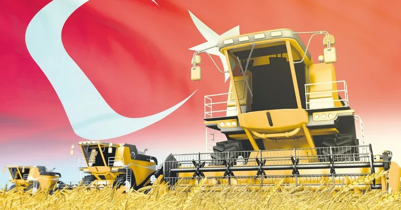 Türkiye buğdayda tarih yazmaya hazırlanıyor