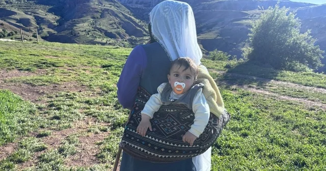 Şavakların yayla mücadelesi: Tulum peynirinin arkasındaki emek Yaylada çocukluk, yaylada emek: Şavak Aşiretinin peynir mesaisi Erzincan Haberleri