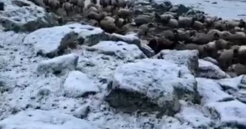 Mayıs sonunda Kars’a kış geri döndü, eksi 5 derecede kar sürprizi