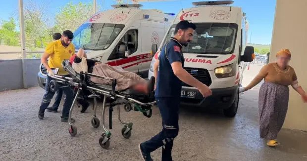 Şanlıurfa haberleri Şanlıurfa da yılan avı: 3 ü çocuk 5 yaralı! 30 Mayıs 2026