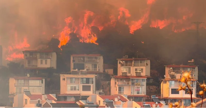 İzmir de korkutan yangın! 2 site alevlerin ortasında kalmıştı