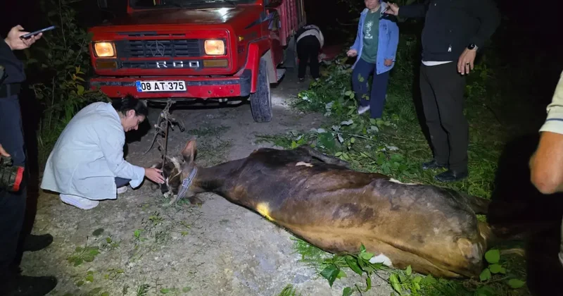 Artvin’de uçuruma yuvarlanan inek ekiplerin çabasıyla kurtarıldı