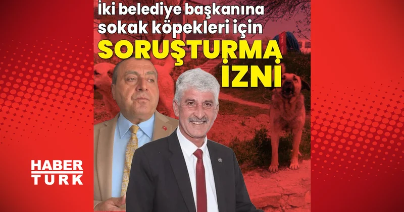 Son dakika: İçişleri Bakanlığı ndan sahipsiz sokak hayvanlarına ilişkin 2 belediye başkanı hakkında soruşturma izni Son dakika haberleri