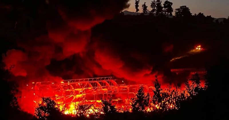 Antalya da depo olarak kullanılan serada yangın