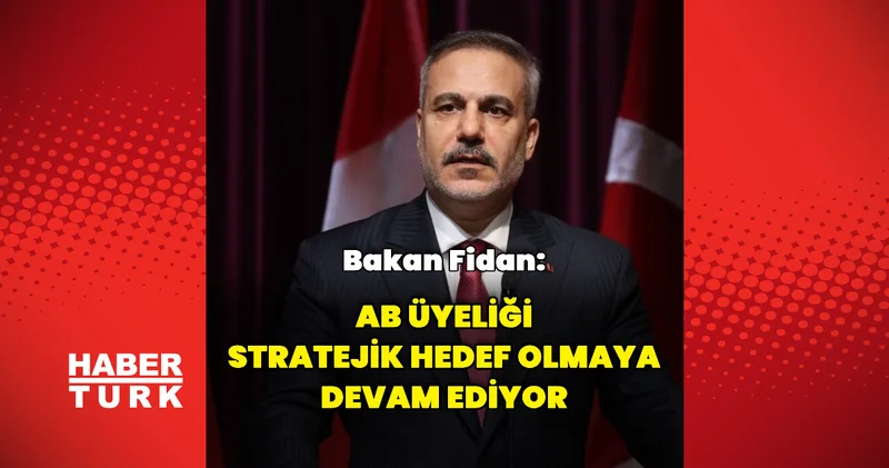 AB üyeliği stratejik hedef olmaya devam ediyor Dış Haberler