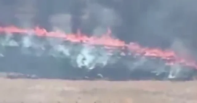 Gaziantep’te orman yangını çıktı VİDEO İZLE