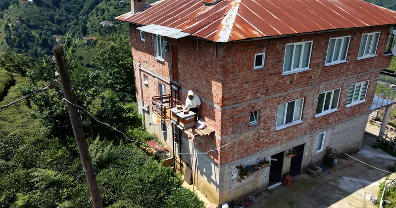 Karadeniz zekası ayıya karşı; kovanlara asansörlü önlem