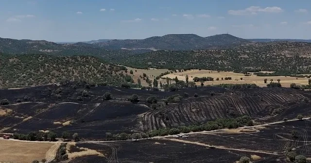 Uşak ta çıkan yangında 300 dekar ekili alan zarar gördü VİDEO İZLE