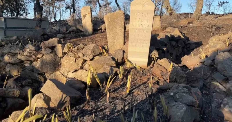 Balıkesir’de acı tablo.. Yangın mezarlığı yok etti