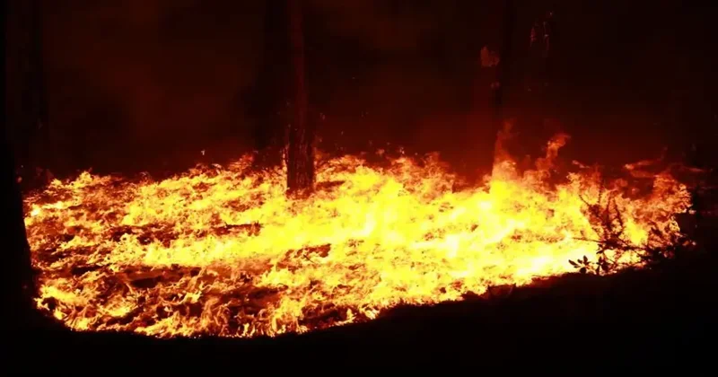 Tarih boyunca yangından en fazla etkilenen iller belli oldu...