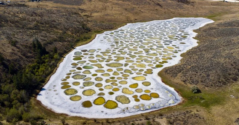 Doğanın sihirbazlık gösterisi: Bu göl yazları tam 365 havuza dönüşüyor! İşte Spotted Lake in gizemi!
