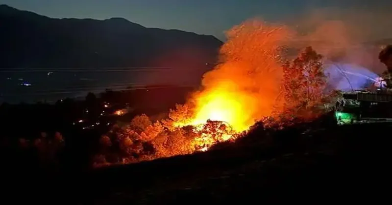 Muğla, Antalya, Balıkesir ve Çanakkale de orman yangını!