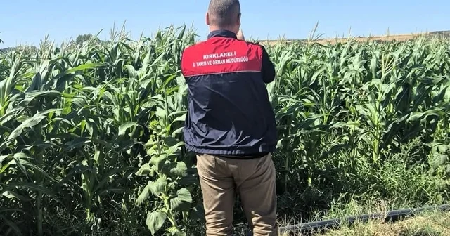 Kırklareli de tarım arazileri tek tek kontrol ediliyor Referans parsel tespiti çalışmaları kapsamında ekipler sahada güncel kullanım durumunu belirliyor Kırklareli Haberleri Habertürk Yerel Haberler