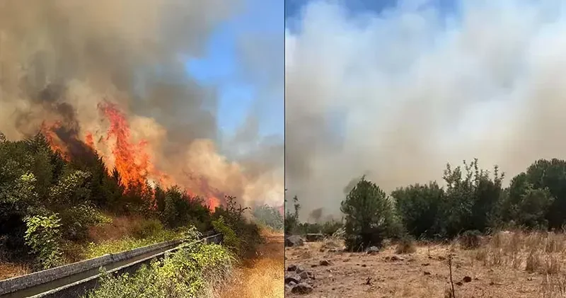 Balıkesir Sındırgı’da orman yangını