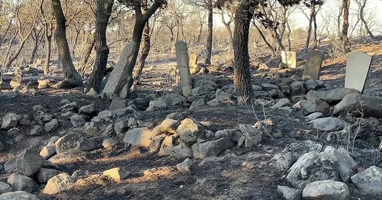 Ayvalık ta alevlerin ulaştığı köy mezarlığı yangında hasar gördü