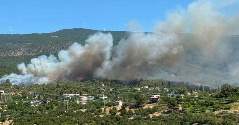 SON DAKİKA yangınlarda son durum: Rüzgarın etkisiyle yangınlar artıyor, söndürülenler tekrar başlıyor Son Haberler