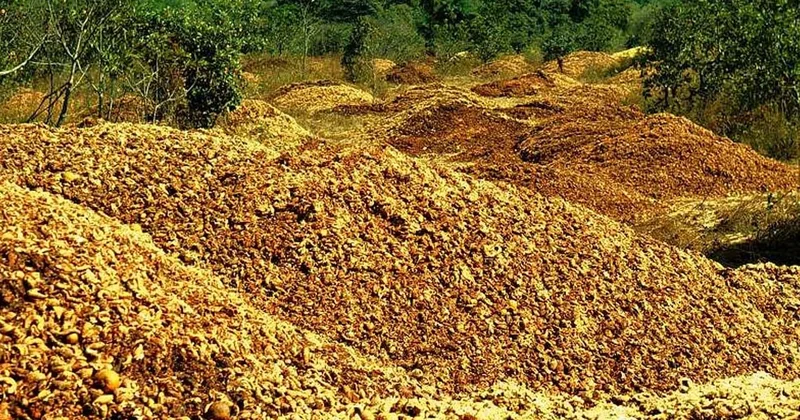 12 bin ton portakal kabuğunu kamyon kasalarıyla toprağa döküp gittiler Sözcü Gazetesi